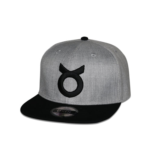 Classic Ring Snapback Hat - Gray / Black