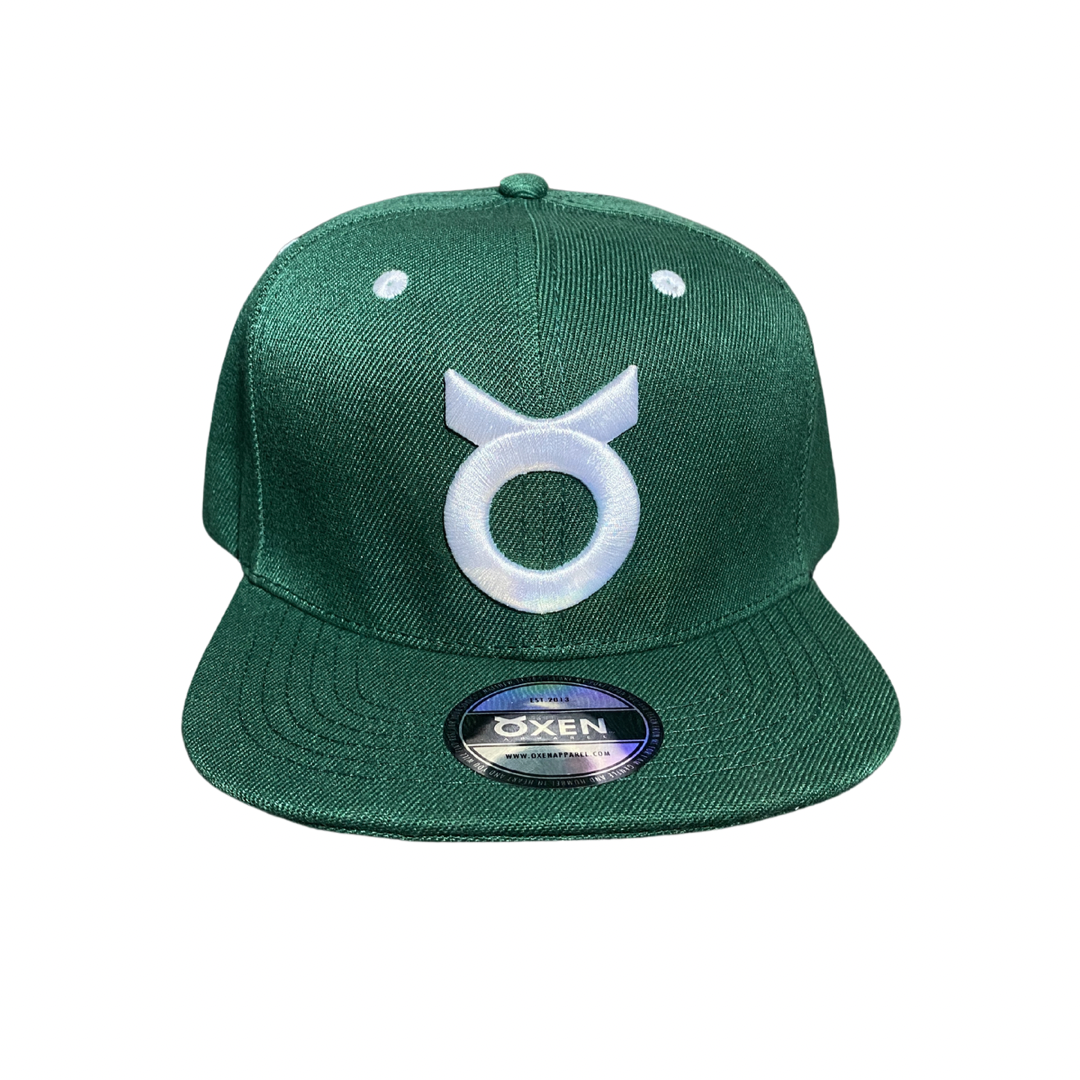 Classic Ring Snapback Hat - Green / White